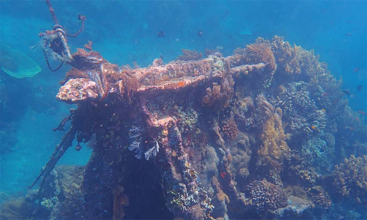 Javanese ship wreck point