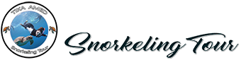 Tika Snorkeling Tour Amed Bali